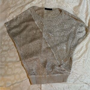 The Limited Silver Sequin Poncho Sweater